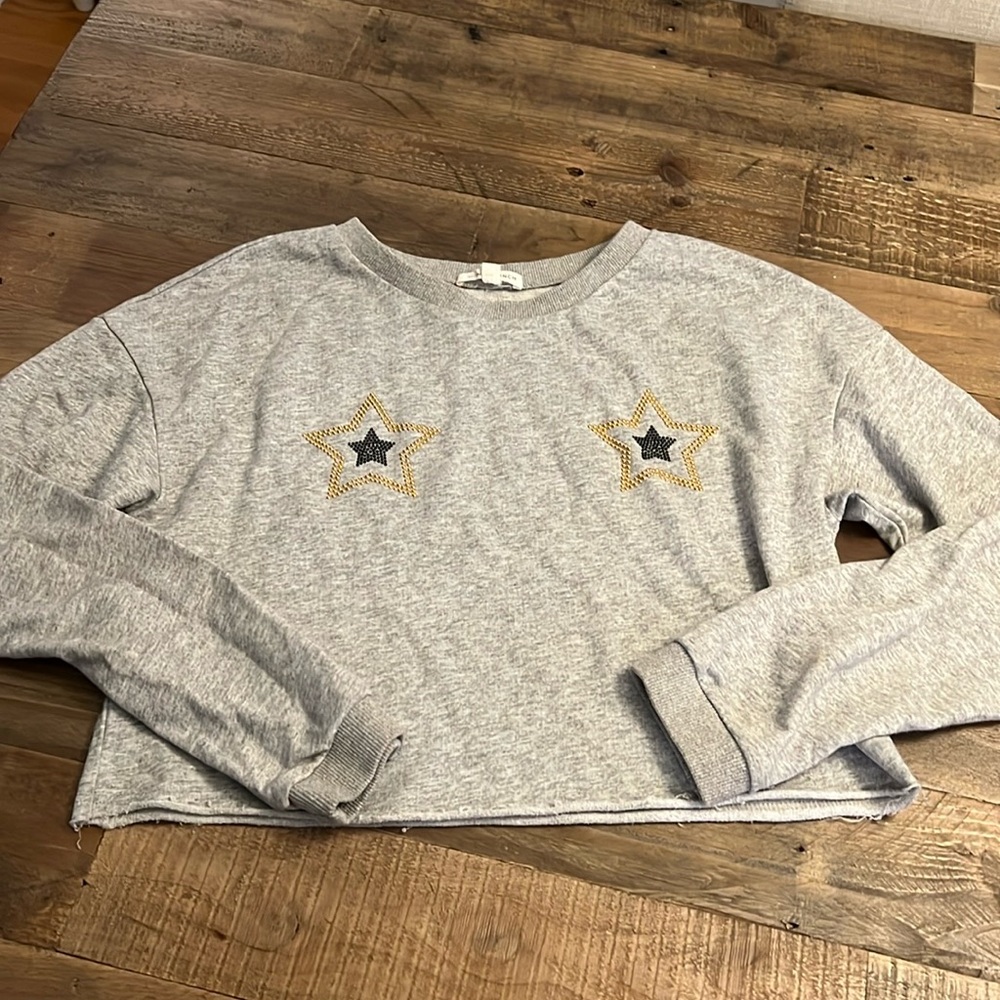 Honey Punch Gray Sweatshirt Crop STARS small